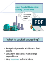 The Basics of Capital Budgeting: Evaluating Cash Flows: Should We Build This Plant?
