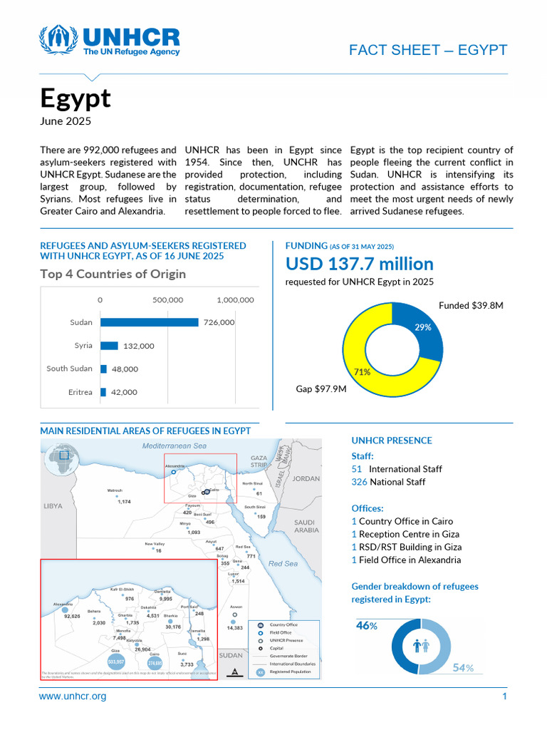 UNHCR Egypt Refugee Support Overview | PDF | Refugee | United Nations ...