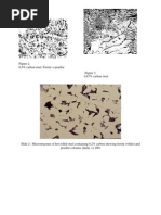 Download Figure 2 by AguzKupridh Zein Nuruddin SN92695025 doc pdf