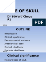 Base of Skull