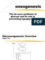 Gluconeogenesis: The de Novo Synthesis of Glucose and Its Role in Preventing Hypoglycemia
