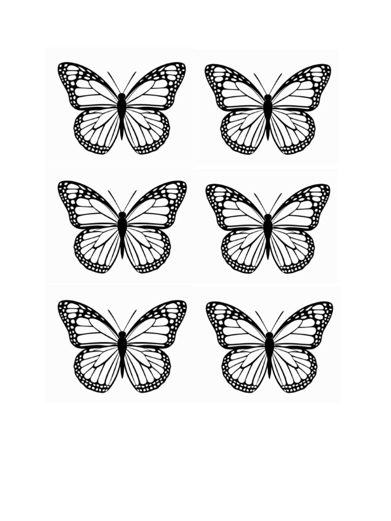 Butterfly | PDF
