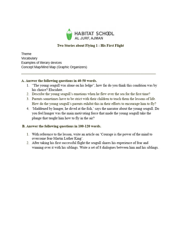 His First Flight | PDF