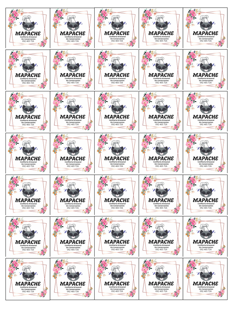 Mapache Stickers | PDF