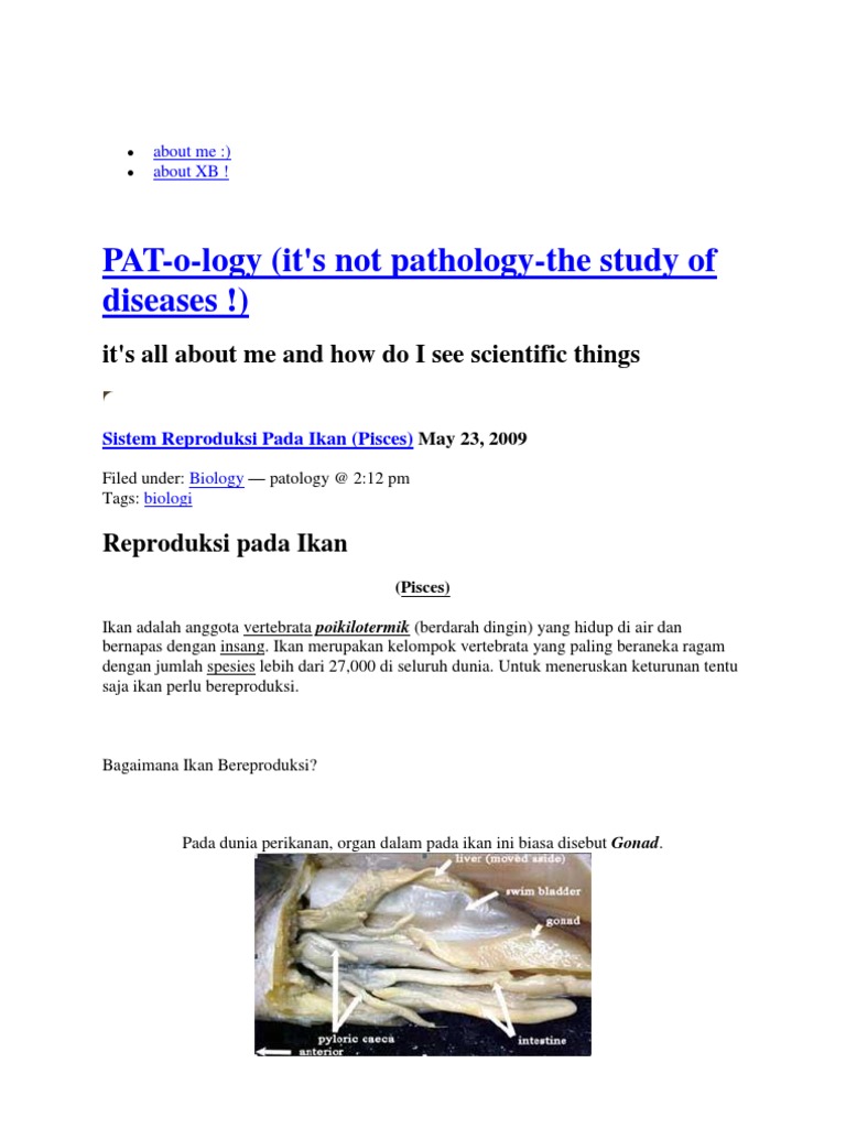 FERTILISASI IKAN FERTILISASI IKAN