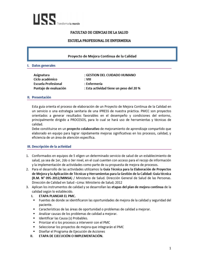 Proyecto de Mejora Continua en Salud | PDF | Enfermería