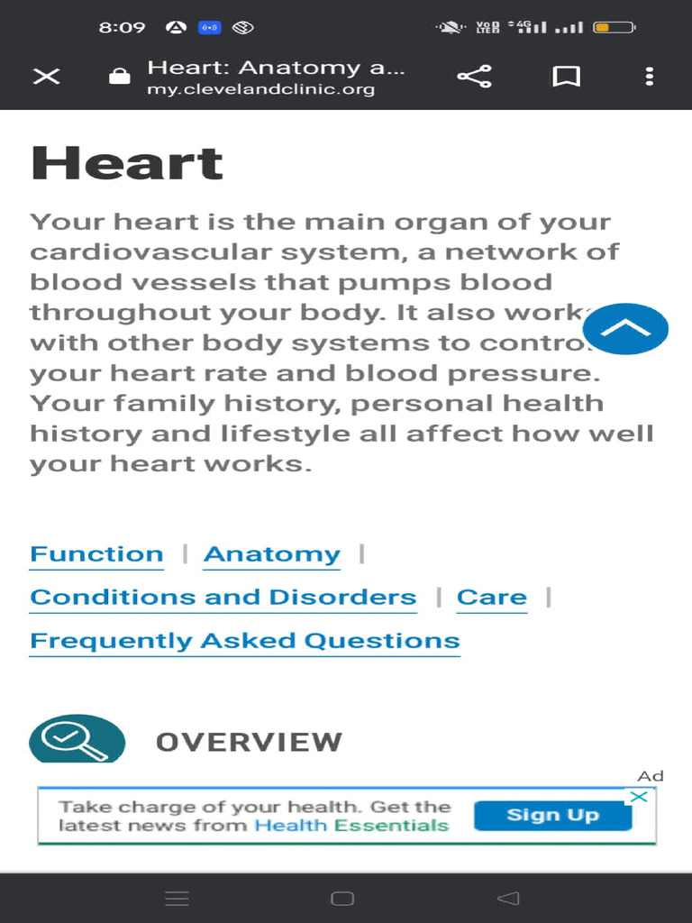 Human Heart | PDF
