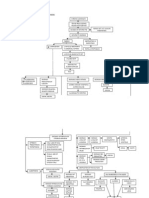 Conceptual Framework of Liver Cirrhosis