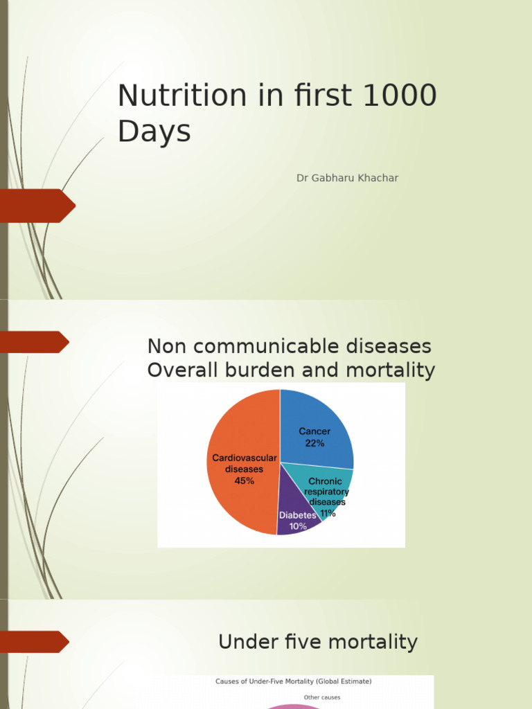 Nutrition in the First 1000 Days | PDF | Brain | Foods