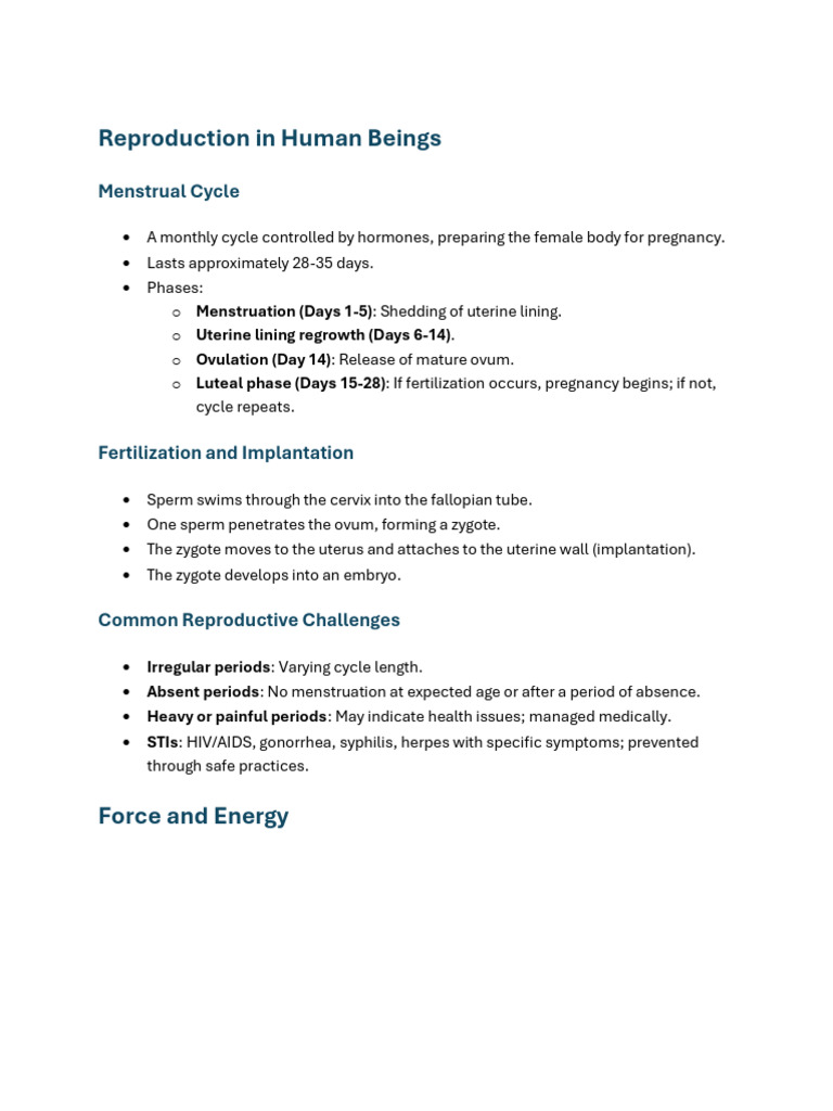 Document 16 | PDF