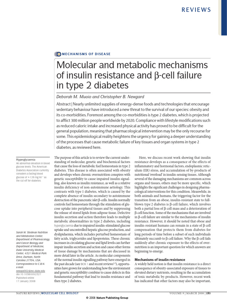 Insulin Resistance and Type 2 Diabetes Mechanisms | PDF | Insulin ...