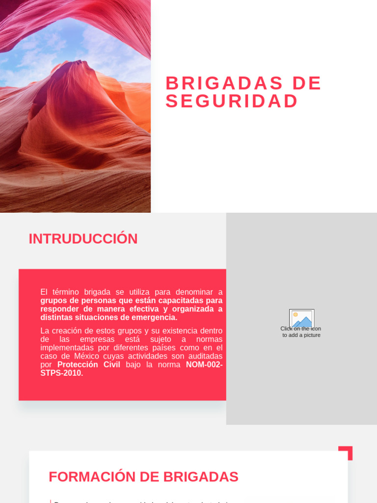Tipos y Funciones de Brigadas de Seguridad | PDF | Riesgo | Valores