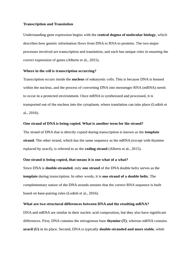 Transcription and Translation | PDF | Messenger Rna | Dna