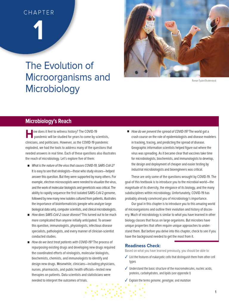 Evolution of Microorganisms Explained | PDF | Microorganism | Cell ...