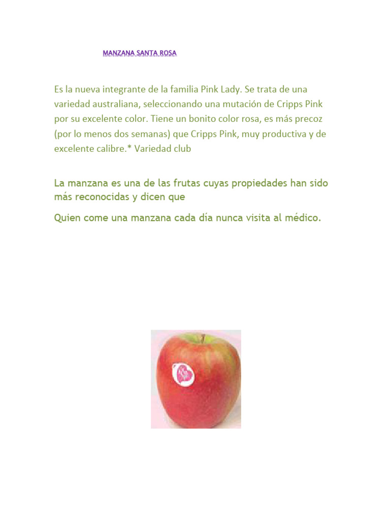 Manzana Santa Rosa | PDF