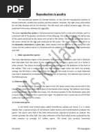 Duck Reproductive Anatomy Overview | PDF | Testicle | Ovary