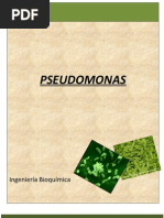 Download PSEUDOMONAS MICROBIOLOGIA by Laura Dominguez SN92710527 doc pdf