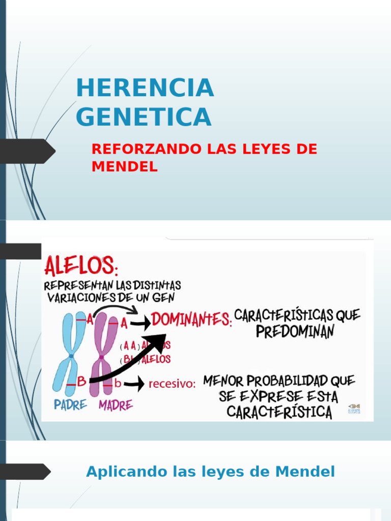 Herencia Genetica | PDF