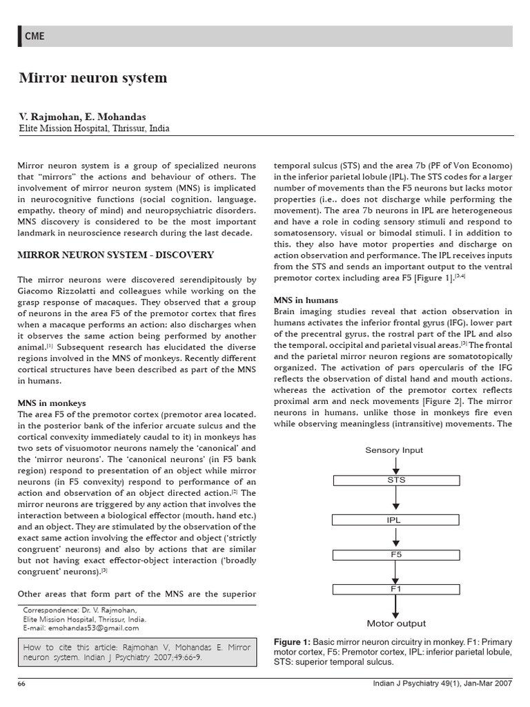Mirror Neuron System.13 | PDF | Empathy | Cingulate Cortex