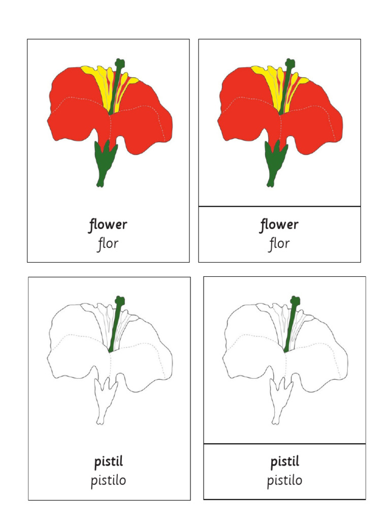 Flower PDF | PDF