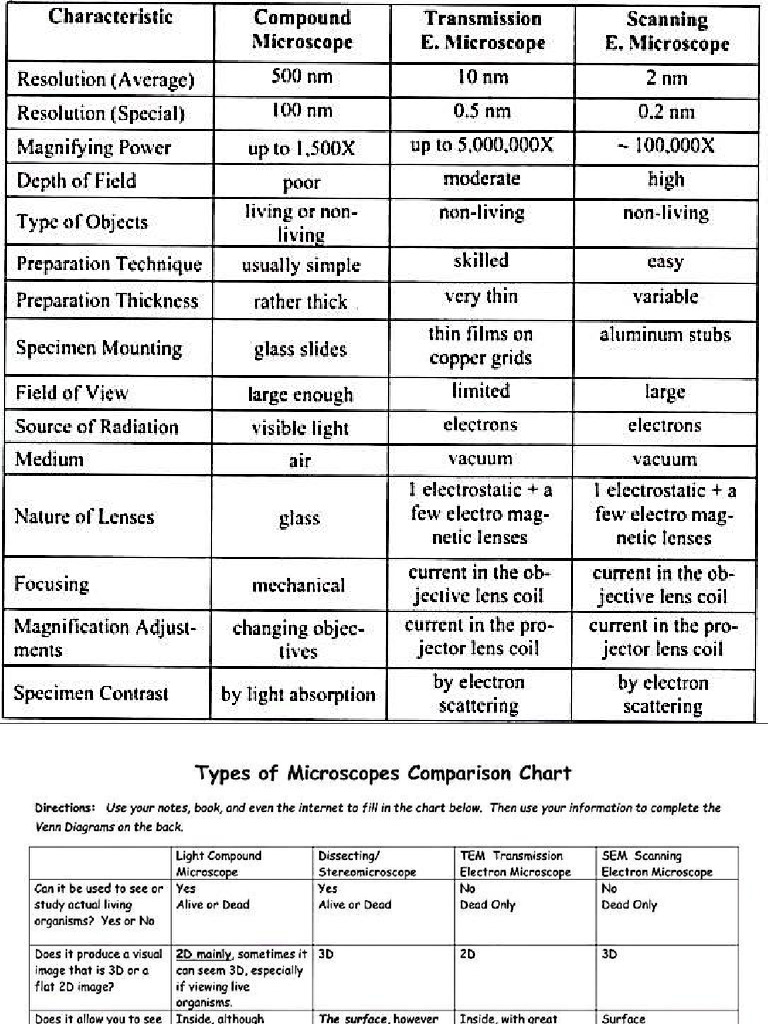 Microscope Assignment 2 | PDF