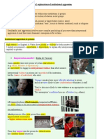 Importation Model: Violent Behaviour