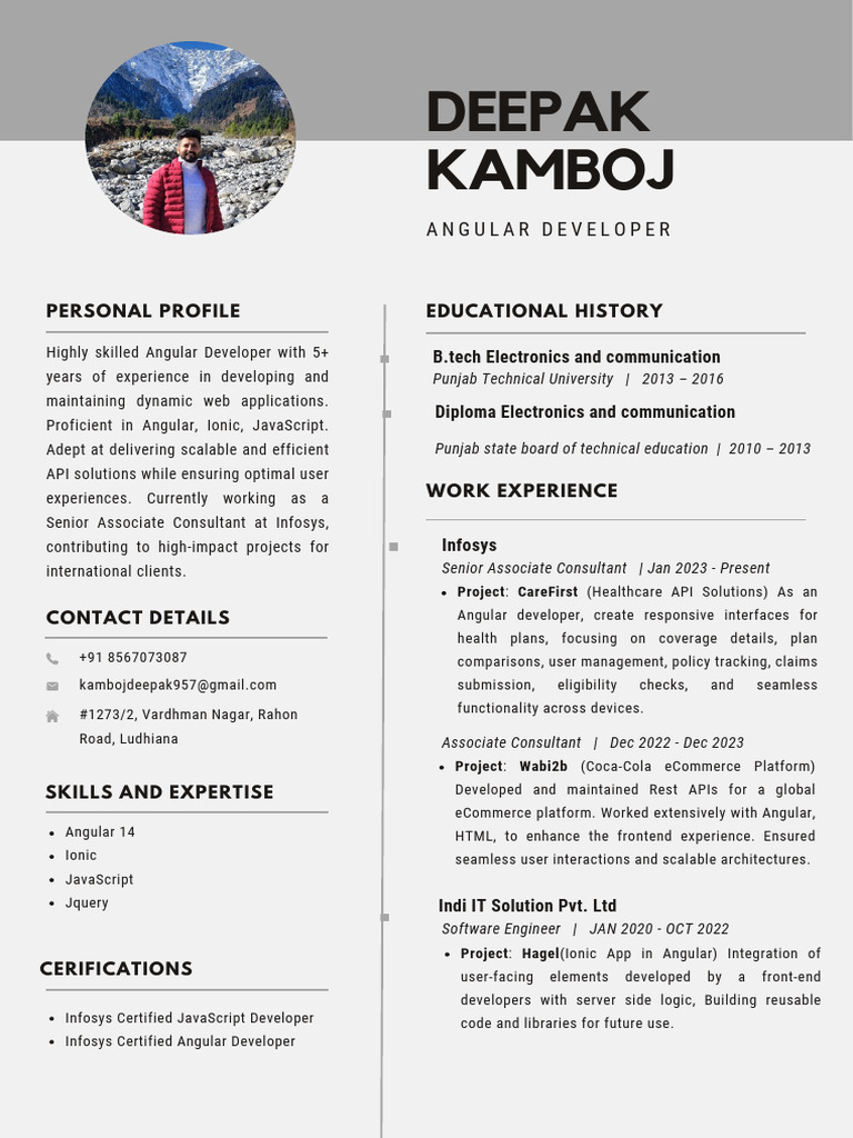 Angular Developer Profile and Experience | PDF | Java Script | Software