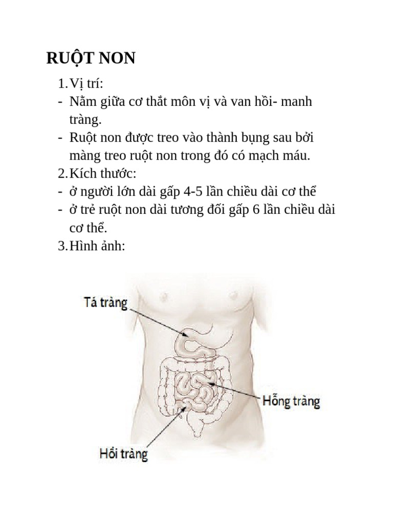Ru T Non | PDF