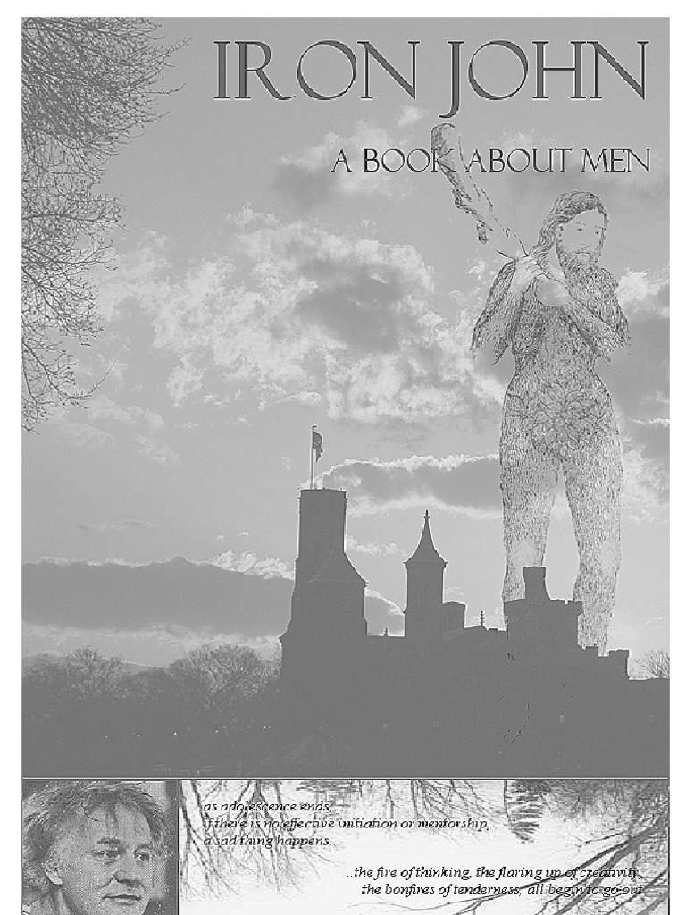 Robert Bly Iron John a Book About Men