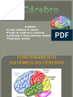 Plasticidade Cerebral