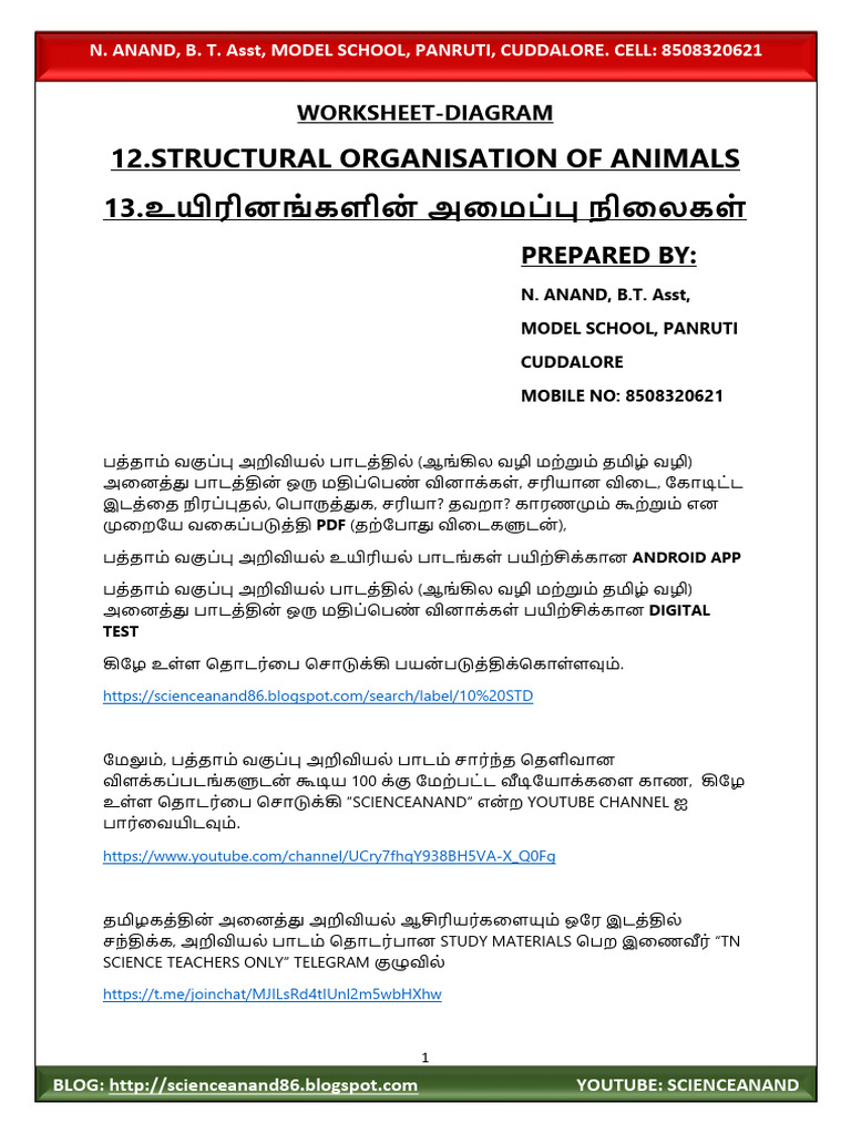 Worksheet-diagram-13.Structural Organisation of Animals - TM & em | PDF
