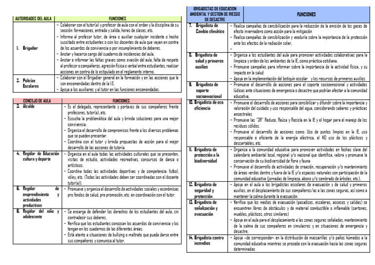 Funciones de Autoridades del Aula | PDF | Salón de clases