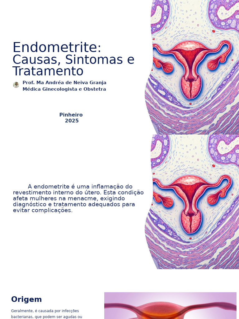 Endometrite Causas Sintomas e Tratamento | PDF | Infecção sexualmente ...