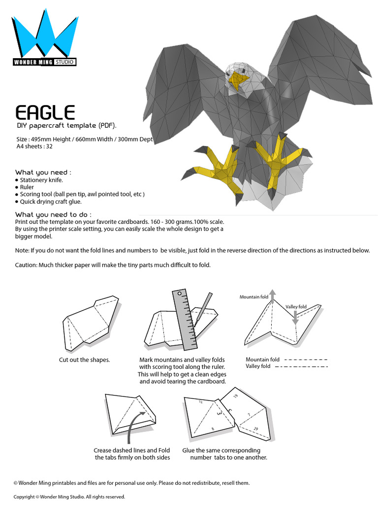 Eagle Instruction | PDF