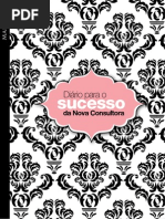 DiarioSucessoConsultora_Abril2012[OK]3