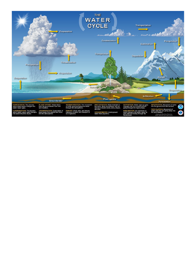 The Water Cycle - NOAA | PDF