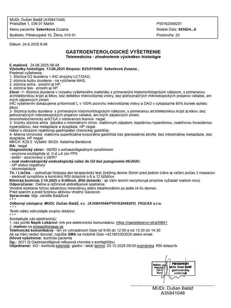 Priloha | PDF