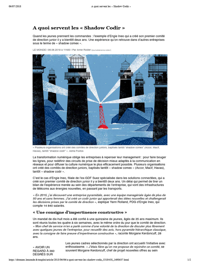 Rôle des Shadow Codir en entreprise | PDF