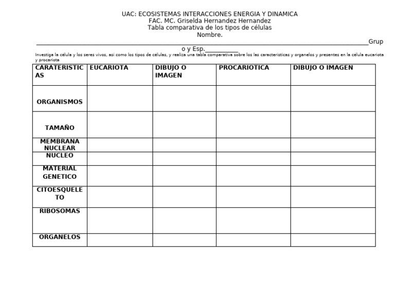 Tabala | PDF