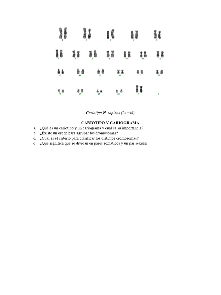 Cariotipo y Cariograma | PDF