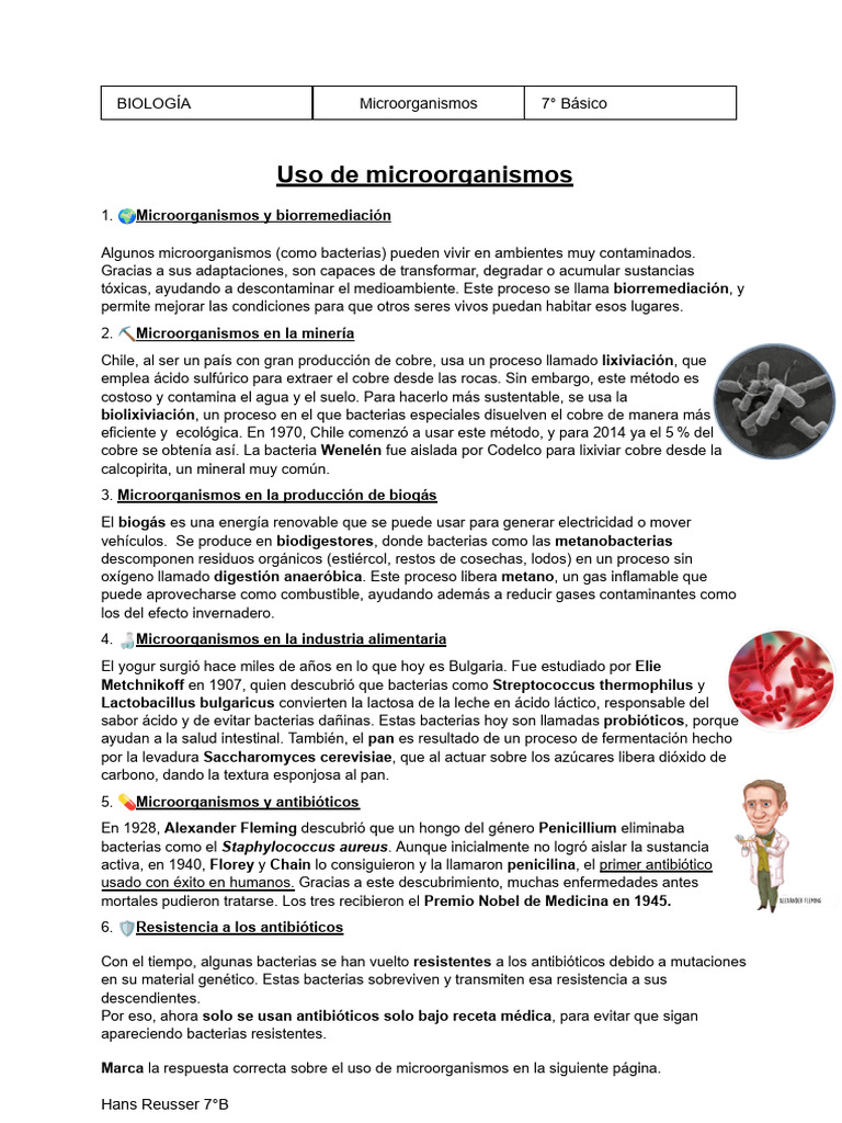 Uso de Microorganismos en Las Industrias | PDF | Biogás | Las bacterias