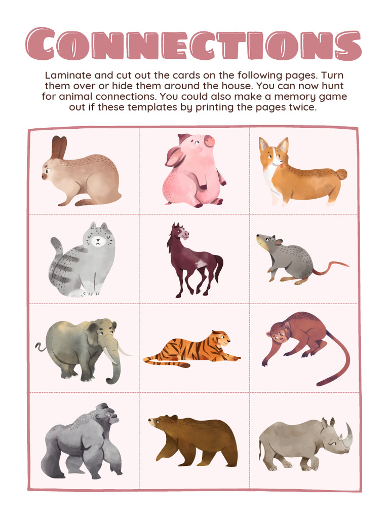 Hunt For Connections Animal Worksheet Set | PDF