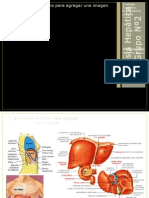 Trabajo Practico Cirrosis Hepatica