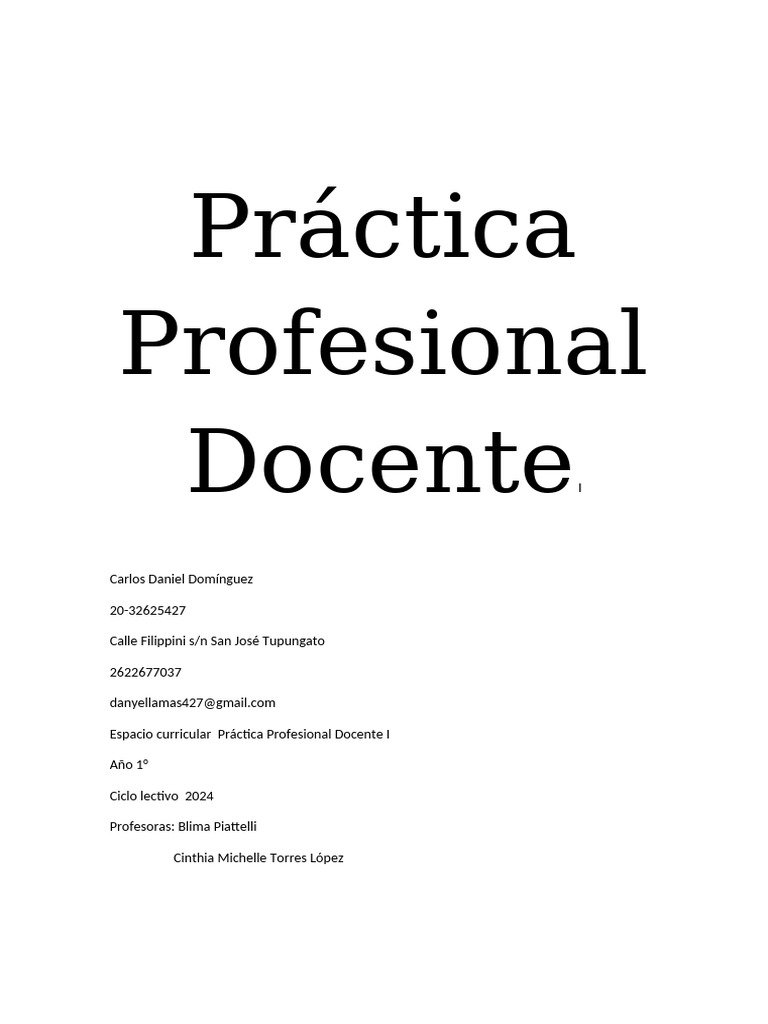 Práctica Profesional Docente I - 2024 | PDF