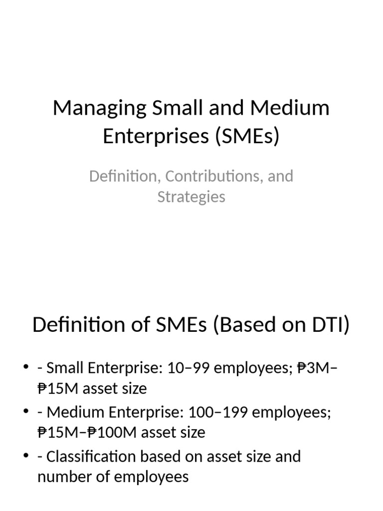 Managing SMEs: Definitions and Strategies | PDF