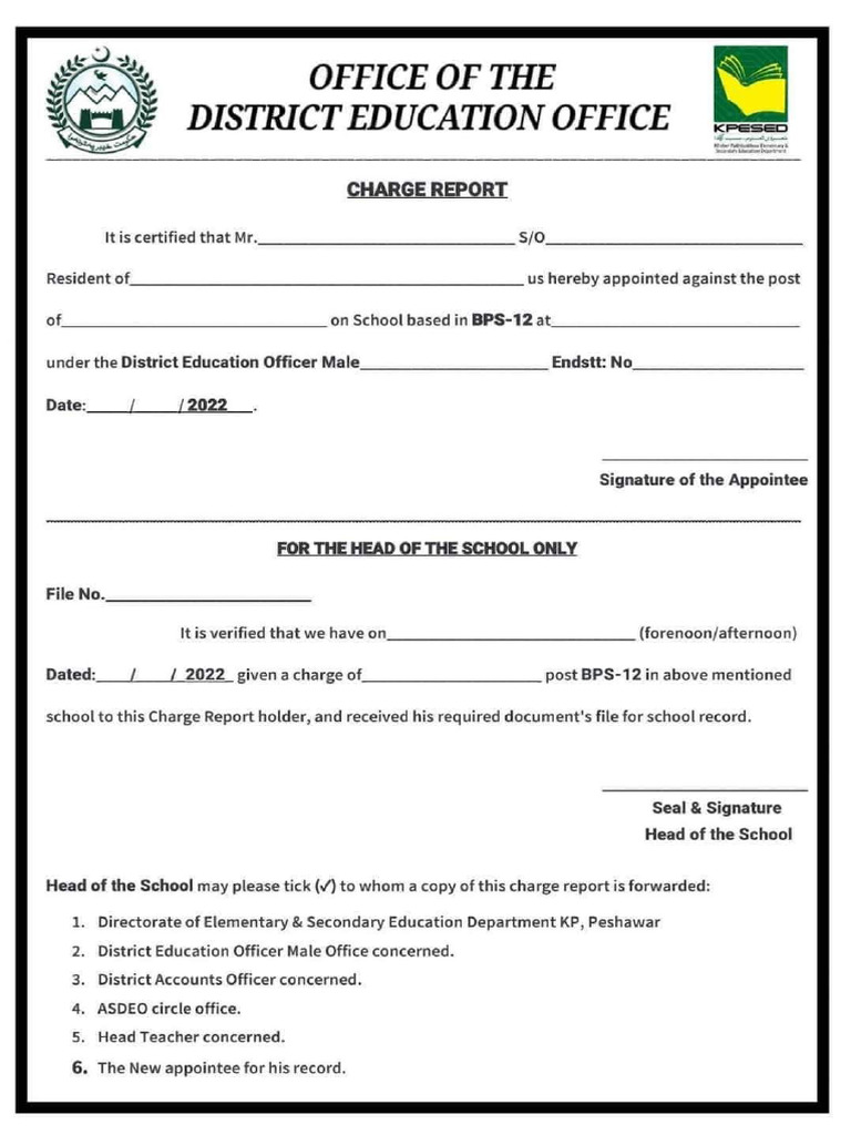 Charge Report 1 | PDF