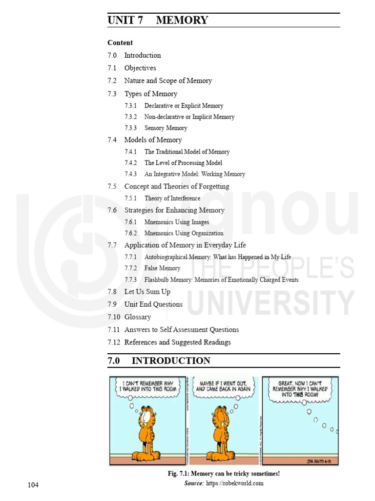 Understanding Memory: Types and Models | PDF | Memory | Senses