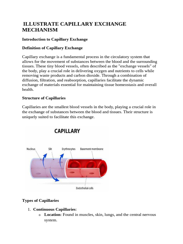 Capillary Exchange Mechanisms Explained | PDF | Capillary | Vasodilation