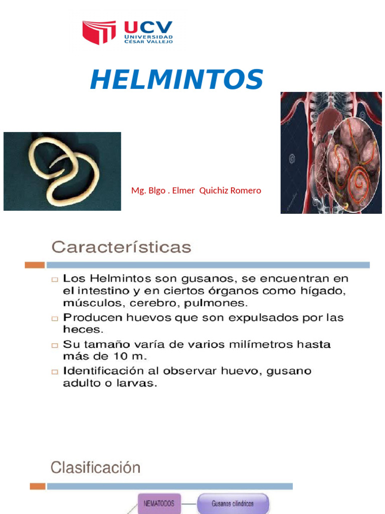 Características de los Helmintos y Parásitos | PDF | Biología | Zoología