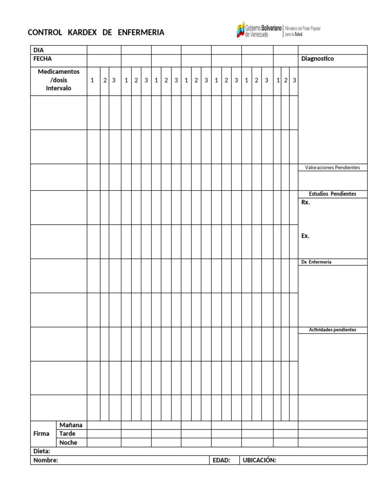 Control Kardex de Enfermería Diario | PDF